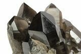 Stunning, Dark Smoky Quartz Crystal Cluster - Brazil #255393-3